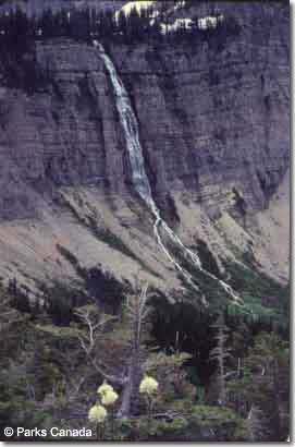 600 foot cascading waterfall near Crypt Lake.