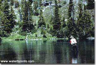 Fly Fishing at Cameron Lake in beautiful Waterton Lakes National Park.