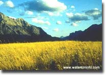 waterton grasslands to peaks