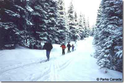 Waterton Lakes Park offers opportunities for beautiful cross-country skiing.