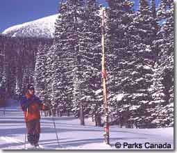 Cross Country Skiing in Waterton Lakes National Park.
